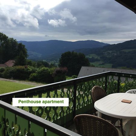 Le Green Chalet Villard-sur-Boege Exterior photo