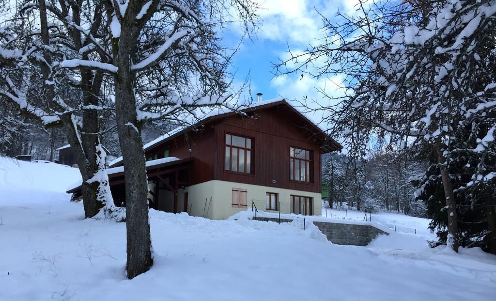 Le Green Chalet Villard-sur-Boege Exterior photo