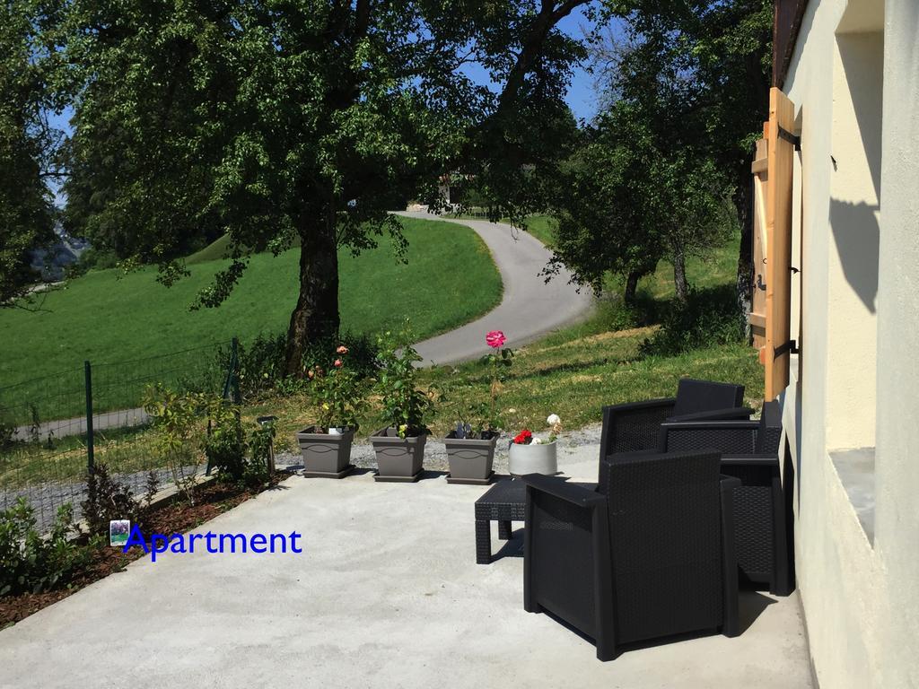 Le Green Chalet Villard-sur-Boege Exterior photo