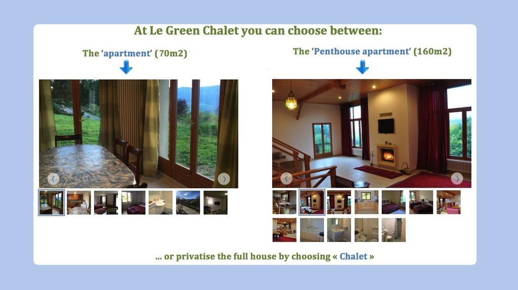 Le Green Chalet Villard-sur-Boege Exterior photo