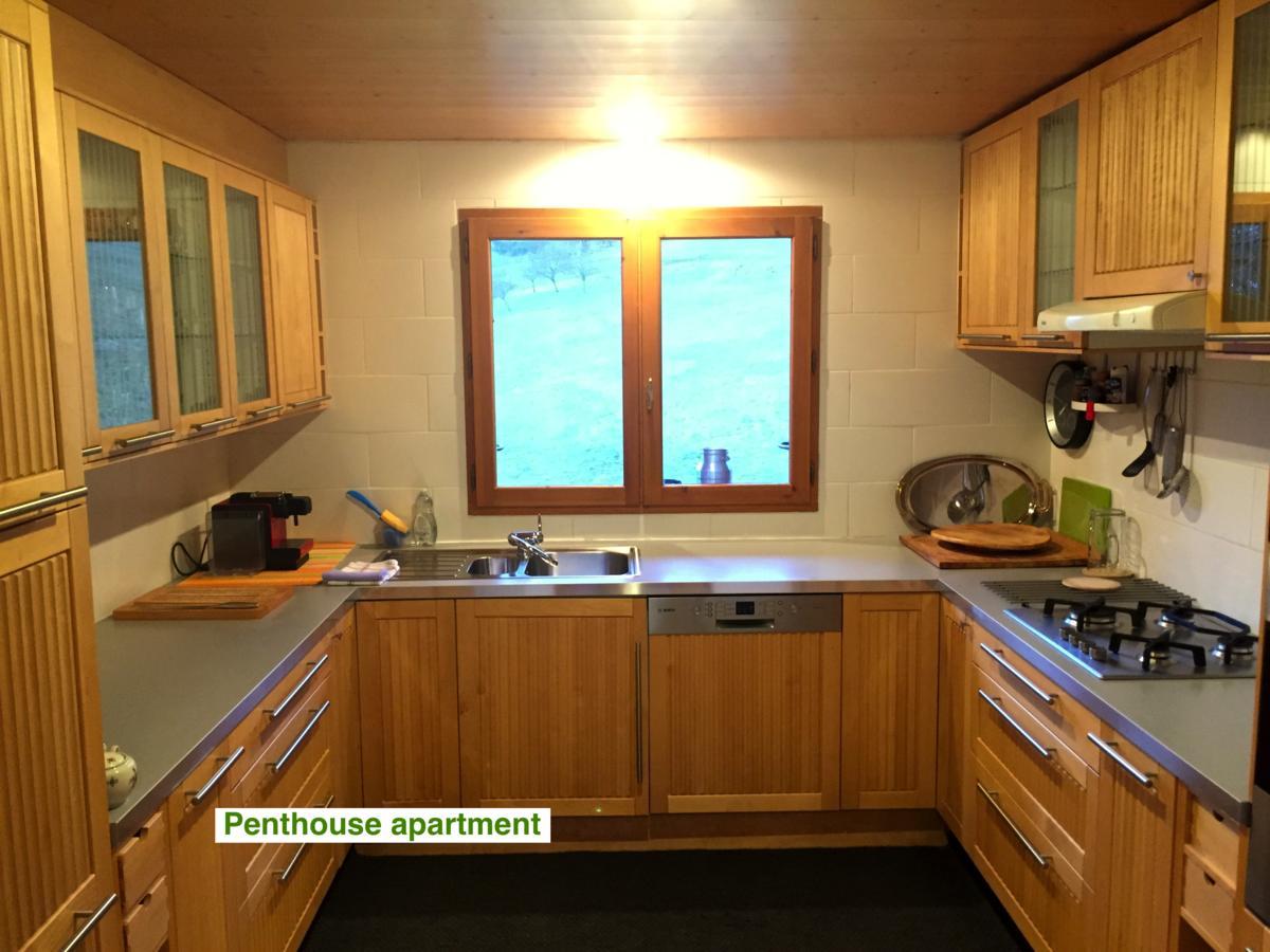 Le Green Chalet Villard-sur-Boege Exterior photo