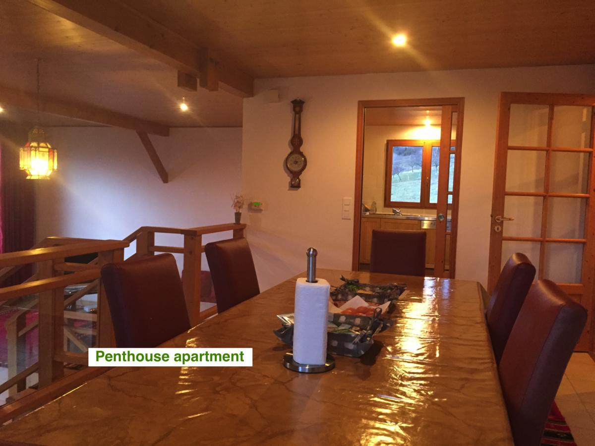 Le Green Chalet Villard-sur-Boege Exterior photo