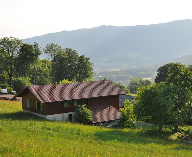 Le Green Chalet Villard-sur-Boege Exterior photo
