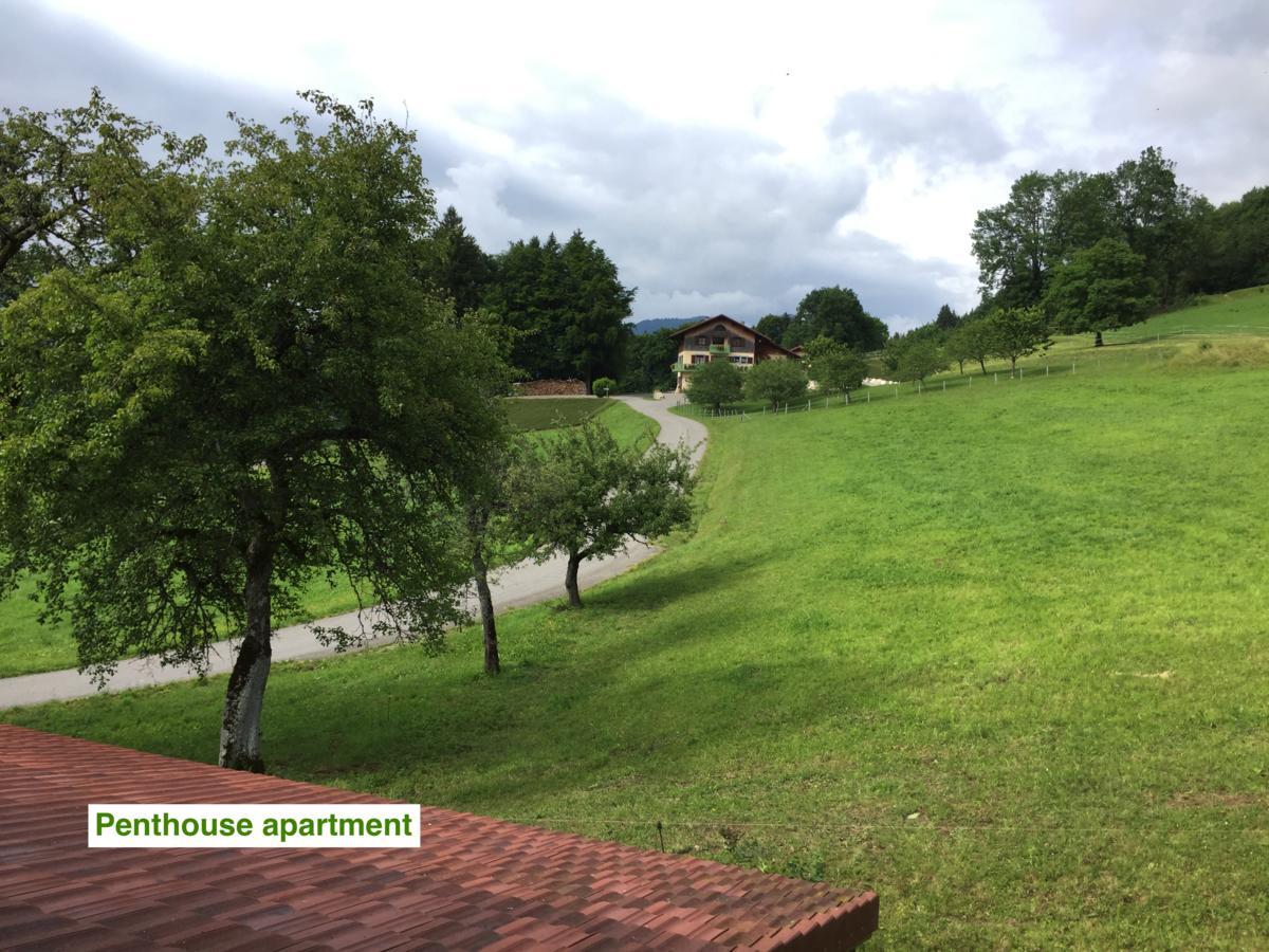 Le Green Chalet Villard-sur-Boege Exterior photo